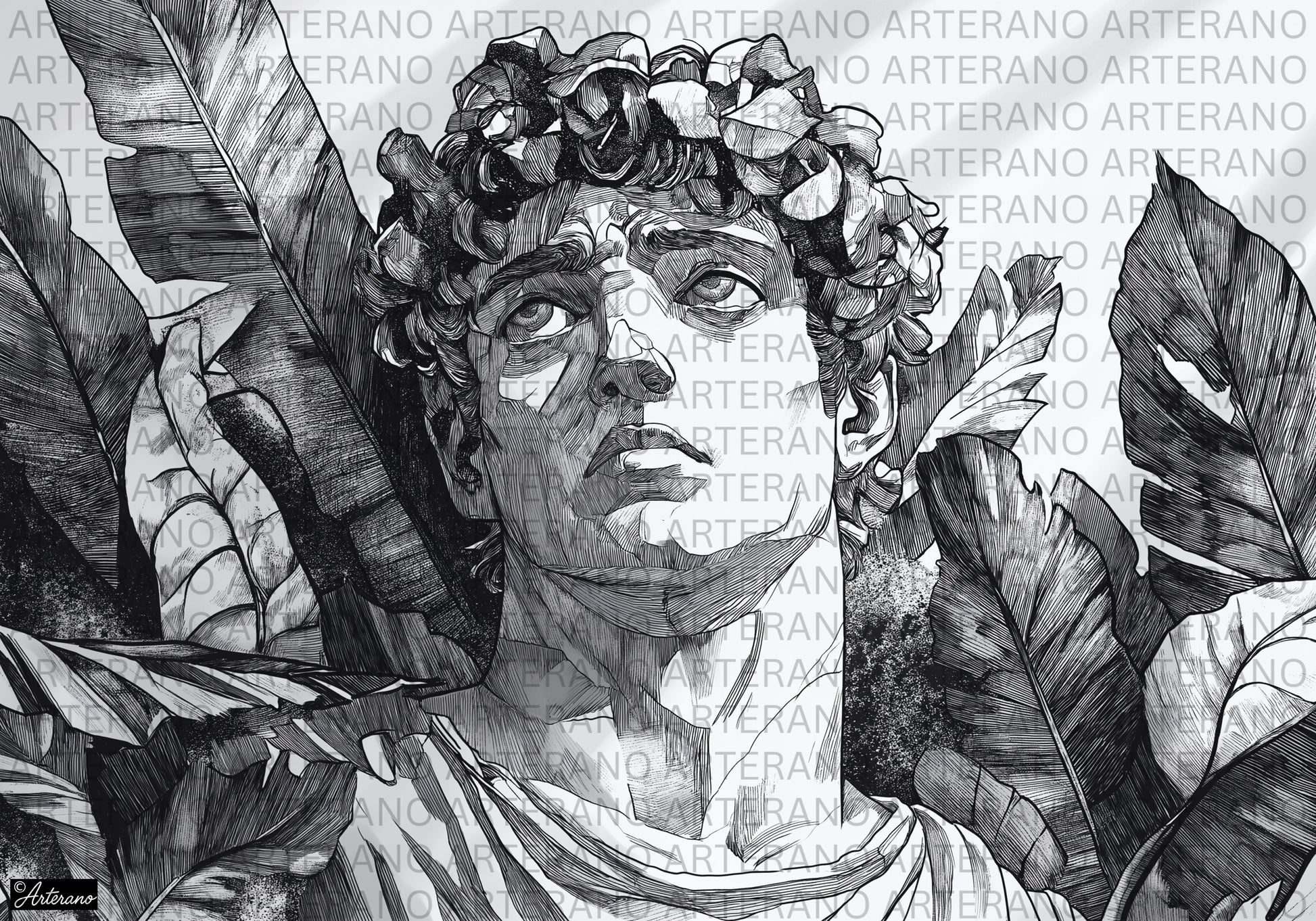 Eamon's Gaze - Digital Print